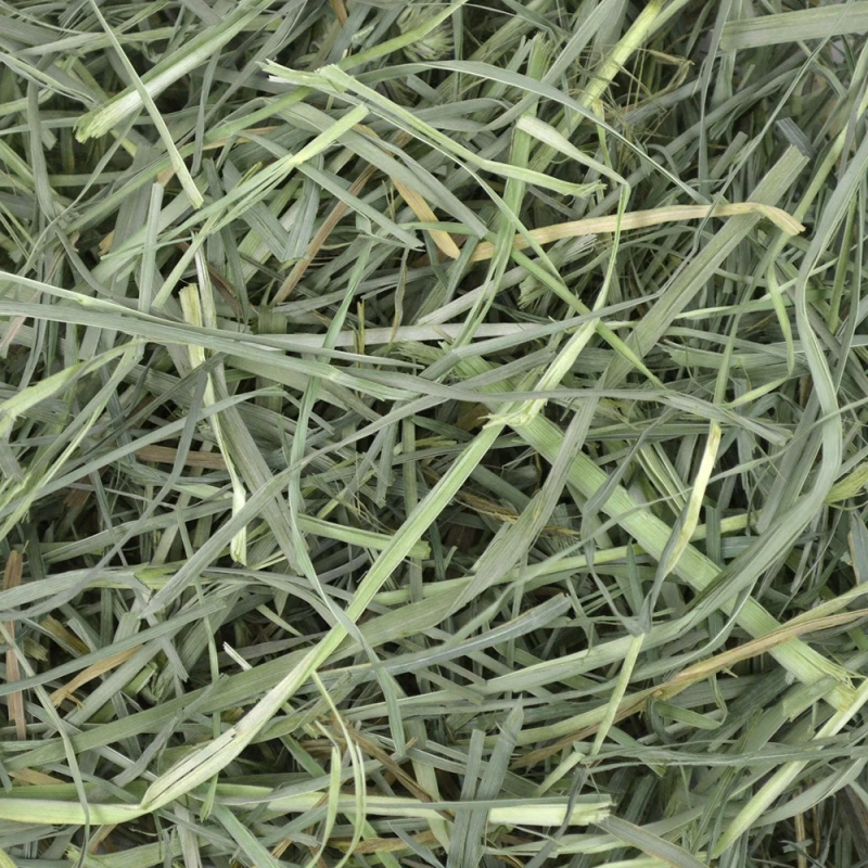 Χόρτο  Oxbow Orchard Grass Hay 1.13kg ΤΡΟΦΕΣ ΚΟΥΝΕΛΙΩΝ