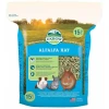 Χόρτο  Oxbow Alfalfa Hay 1.13Kg ΜΙΚΡΑ ΖΩΑ - ΚΟΥΝΕΛΙΑ