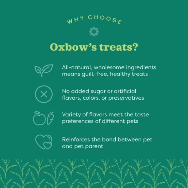 Λιχουδιές Τρωκτικών Oxbow Organic Barley Biscuits 75gr ΜΙΚΡΑ ΖΩΑ - ΚΟΥΝΕΛΙΑ