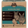 Χόρτο Oxbow Alfalfa Hay 454gr ΤΡΟΦΕΣ ΚΟΥΝΕΛΙΩΝ Χόρτο Oxbow Alfalfa Hay 454gr ΤΡΟΦΕΣ ΚΟΥΝΕΛΙΩΝ