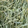 Χόρτο Oxbow Alfalfa Hay 454gr ΤΡΟΦΕΣ ΚΟΥΝΕΛΙΩΝ Χόρτο Oxbow Alfalfa Hay 454gr ΤΡΟΦΕΣ ΚΟΥΝΕΛΙΩΝ