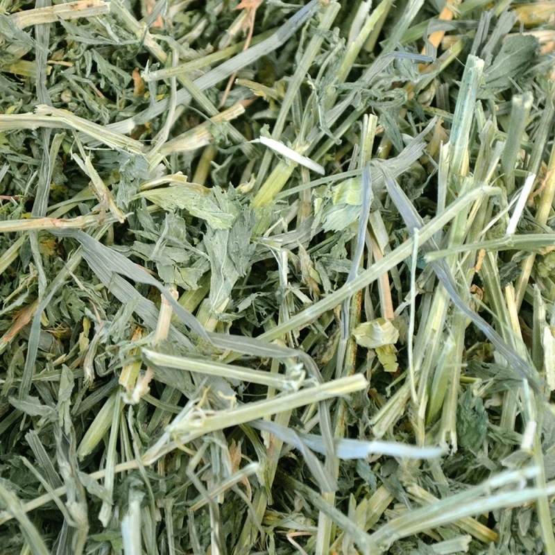 Χόρτο Oxbow Alfalfa Hay 454gr ΤΡΟΦΕΣ ΚΟΥΝΕΛΙΩΝ Χόρτο Oxbow Alfalfa Hay 454gr ΤΡΟΦΕΣ ΚΟΥΝΕΛΙΩΝ