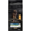 Pro Plan Puppy Large Robust Κοτόπουλο 12kg Σκύλοι