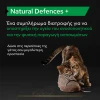 Purina Pro Plan Cat Natural Defences + Συμπλήρωμα Διατροφής Γάτας για Φυσική Άμυνα σε Σκόνη 60gr ΓΑΤΕΣ