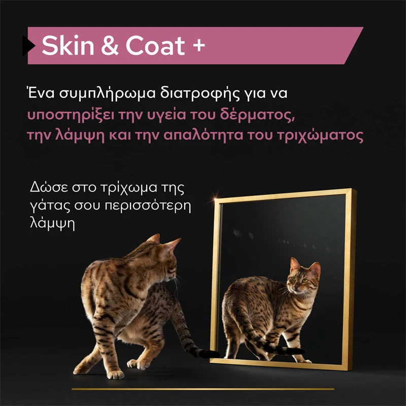 Purina Pro Plan Cat Skin & Coat + Συμπλήρωμα Διατροφής Γάτας για Δέρμα και Τρίχωμα σε Έλαιο 150ml ΓΑΤΕΣ