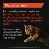 Purina Pro Plan Cat Multivitamins + Συμπλήρωμα Διατροφής Γάτας με Πολυβιταμίνες σε Σκόνη 60gr ΓΑΤΕΣ