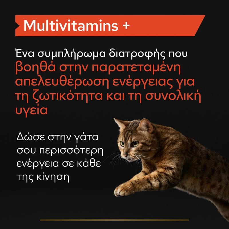 Purina Pro Plan Cat Multivitamins + Συμπλήρωμα Διατροφής Γάτας με Πολυβιταμίνες σε Σκόνη 60gr ΓΑΤΕΣ