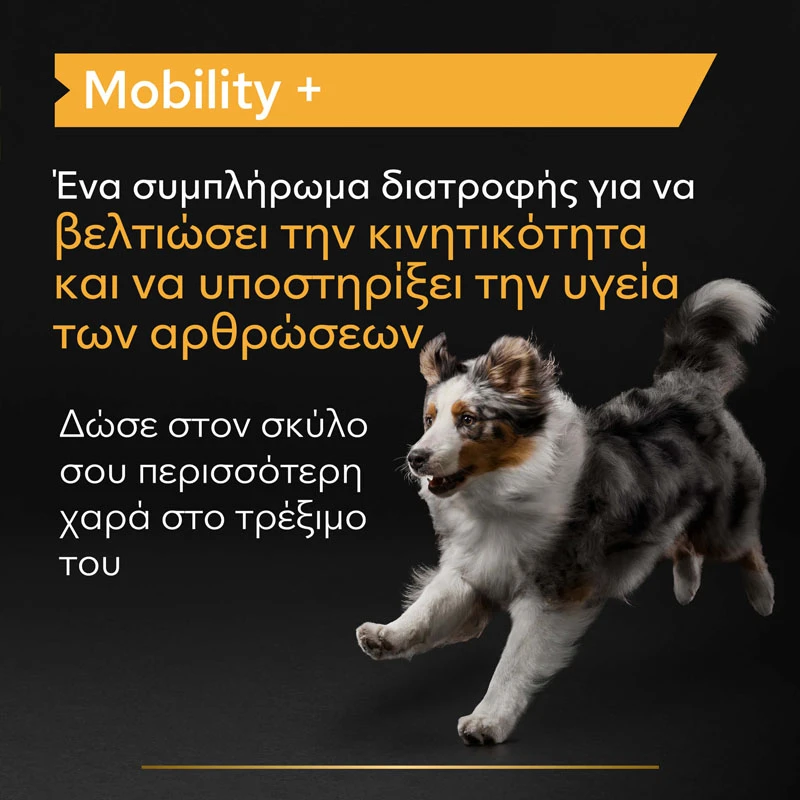 Purina Pro Plan Dog Mobility + Συμπλήρωμα Διατροφής Σκύλου για Κινητικότητα σε Σκόνη 60G ΣΚΥΛΟΙ