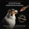 Purina Pro Plan Dog Multivitamins + Συμπλήρωμα Διατροφής Σκύλου με Πολυβιταμίνες σε Δισκία 67gr ΣΚΥΛΟΙ