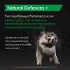 Purina Pro Plan Dog Natural Defences + Συμπλήρωμα Διατροφής Σκύλου για Φυσική Άμυνα σε Δισκία 67gr ΣΚΥΛΟΙ