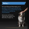 Purina Pro Plan Dog Relax + Συμπλήρωμα Διατροφής Σκύλου για Χαλάρωση σε Έλαιο 250ml ΣΚΥΛΟΙ