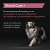 Purina Pro Plan Dog Skin & Coat + Συμπλήρωμα Διατροφής Σκύλου για Δέρμα και Τρίχωμα σε Έλαιο 250ml. ΣΚΥΛΟΙ
