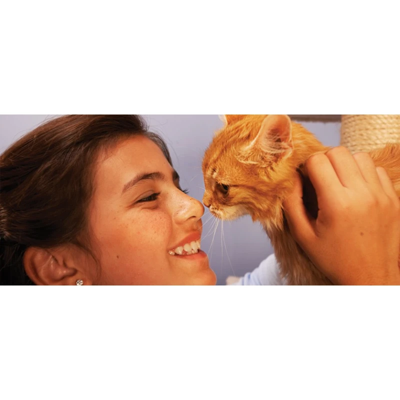 Pronature Kitten -Chicken & Sweet Potato 2,72Kg ΓΑΤΕΣ