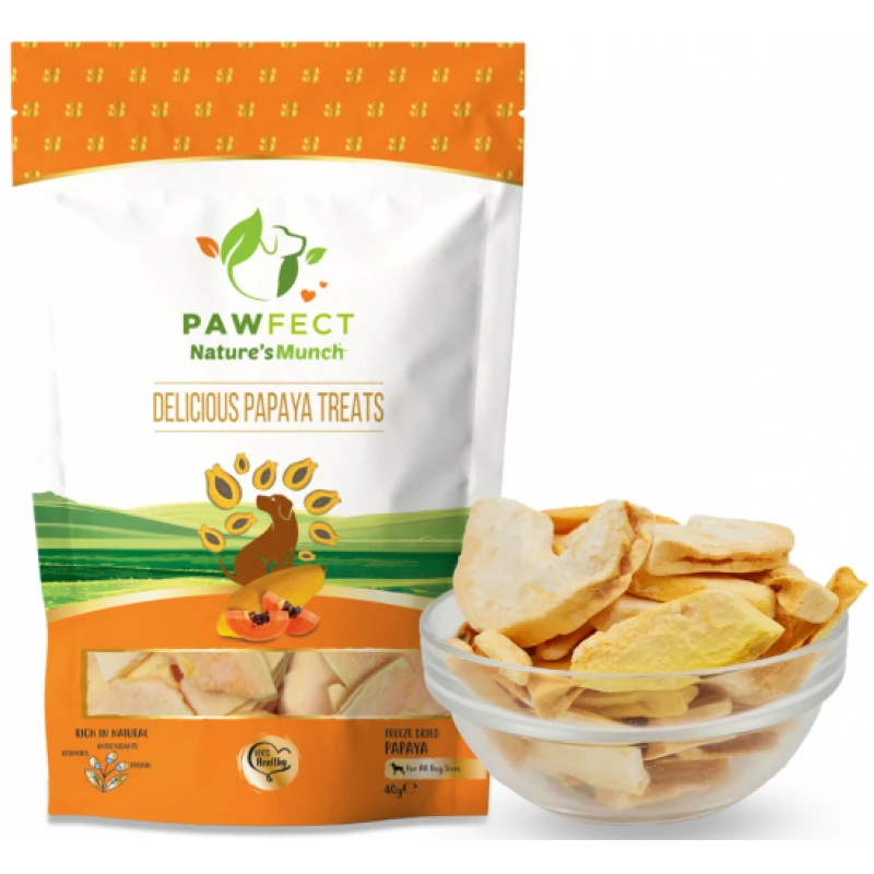 Αποξηραμένες Λιχουδιές για Σκύλους Pawfect Nature’s Munch Παπάγια 40gr Σκύλοι Αποξηραμένες Λιχουδιές για Σκύλους Pawfect Nature’s Munch Παπάγια 40gr Σκύλοι