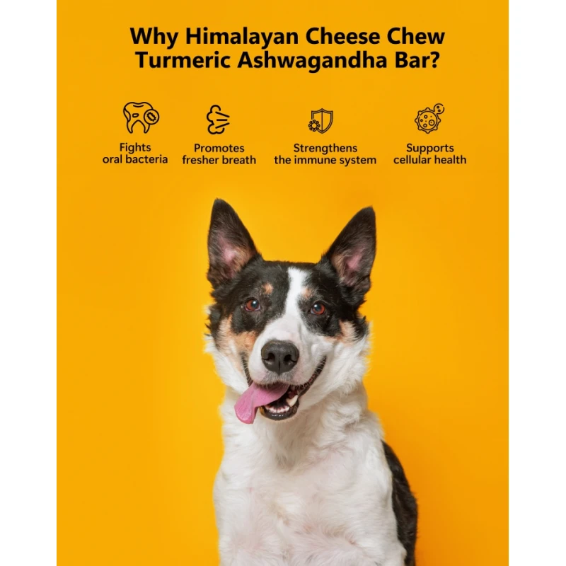 Λιχουδιά Σκύλου Pawfect Himalayan Chew Bar με Κουρκουμά & Ασβαγκάντα 3 x 65gr Σκύλοι Λιχουδιά Σκύλου Pawfect Himalayan Chew Bar με Κουρκουμά & Ασβαγκάντα 3 x 65gr Σκύλοι