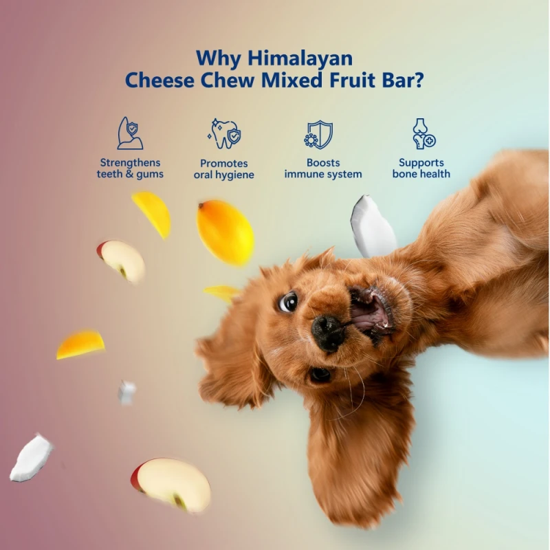 Λιχουδιά Σκύλου Pawfect Himalayan Chew Bar με Μήλο, Μάνγκο & Καρύδα 3 x 65gr Σκύλοι Λιχουδιά Σκύλου Pawfect Himalayan Chew Bar με Μήλο, Μάνγκο & Καρύδα 3 x 65gr Σκύλοι
