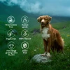 Λιχουδιά Σκύλου Pawfect Puff Bars 70gr Σκύλοι