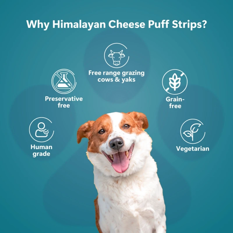 Λιχουδιά Σκύλου Pawfect Puff Strips 70gr Σκύλοι