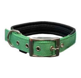 Περιλαίμιο Pet Interest Με Επένδυση S 1,6cm x 40cm Πράσινο