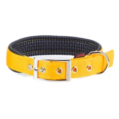 Περιλαίμιο Pet Interest Με Επένδυση XL 2,5cm x 55cm Κίτρινο