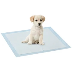 Πάνες εκπαίδευσης και Προστασίας 10τεμάχια 60x90cm Πάνες εκπαίδευσης και Προστασίας 10τεμάχια 60x90cm