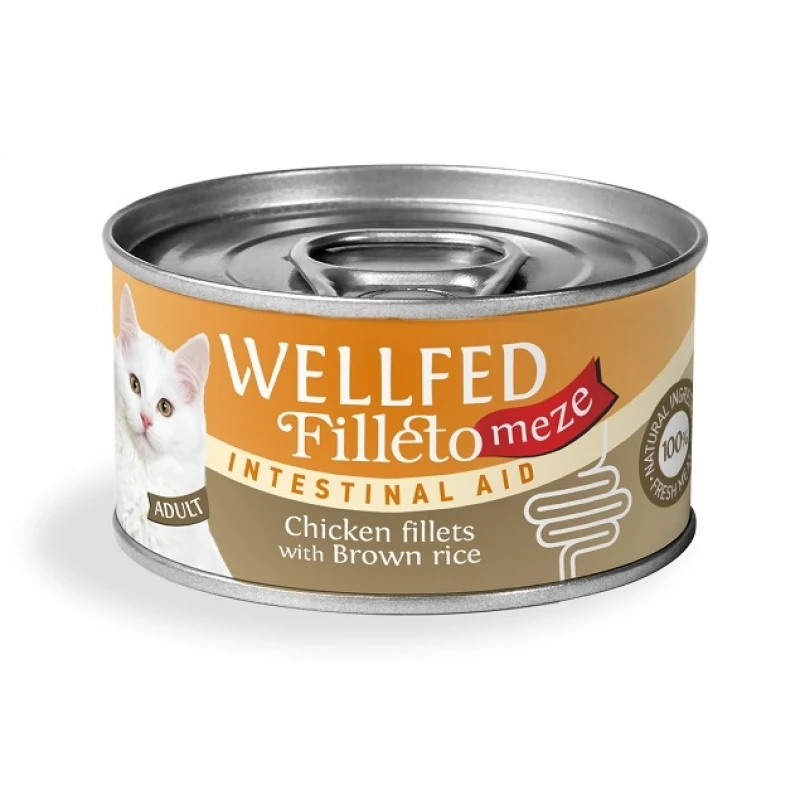 Wellfed Cat Filleto Meze Adult Intestinal Chicken & Brown Rice 70gr ΓΑΤΕΣ