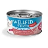 Wellfed Cat Filleto Meze Adult Urinary Chicken & Cranberries 70gr ΓΑΤΕΣ