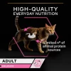 Pro Plan Υγρή Τροφή Γάτας Adult Delicate Turkey Mousse 85g Γάτες Pro Plan Υγρή Τροφή Γάτας Adult Delicate Turkey Mousse 85g Γάτες