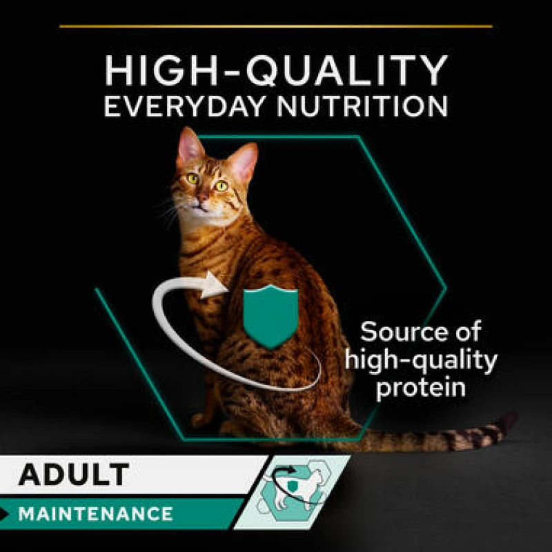 Pro Plan Υγρή Τροφή Γάτας Adult Sterilised Maintenance Salmon and Tuna 85g Γάτες