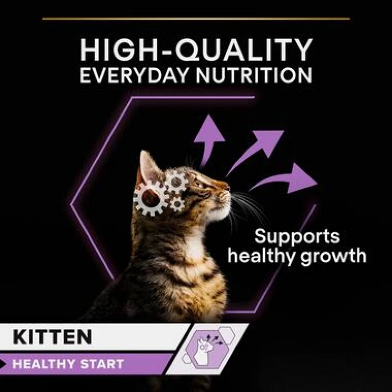 Pro Plan Υγρή Τροφή για Γατάκια Kitten Chicken Mousse 85g Γάτες Pro Plan Υγρή Τροφή για Γατάκια Kitten Chicken Mousse 85g Γάτες