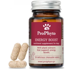Διατροφικό Συμπλήρωμα για Σκύλους Prophyto Energy Boost 30tabs