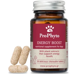 Διατροφικό Συμπλήρωμα για Σκύλους Prophyto Energy Boost 30tabs