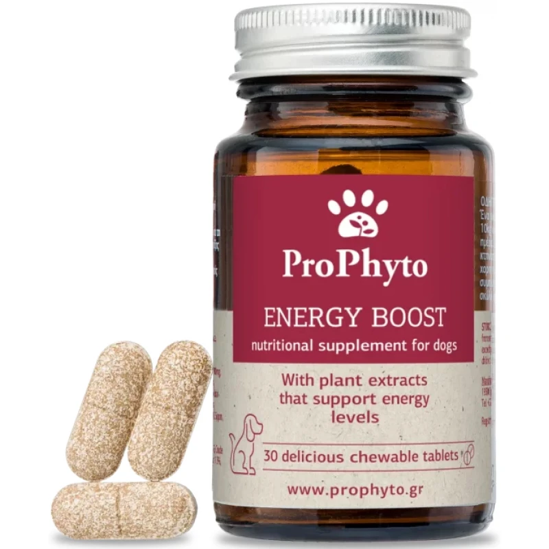 Διατροφικό Συμπλήρωμα για Σκύλους Prophyto Energy Boost 30tabs Σκύλοι Διατροφικό Συμπλήρωμα για Σκύλους Prophyto Energy Boost 30tabs Σκύλοι