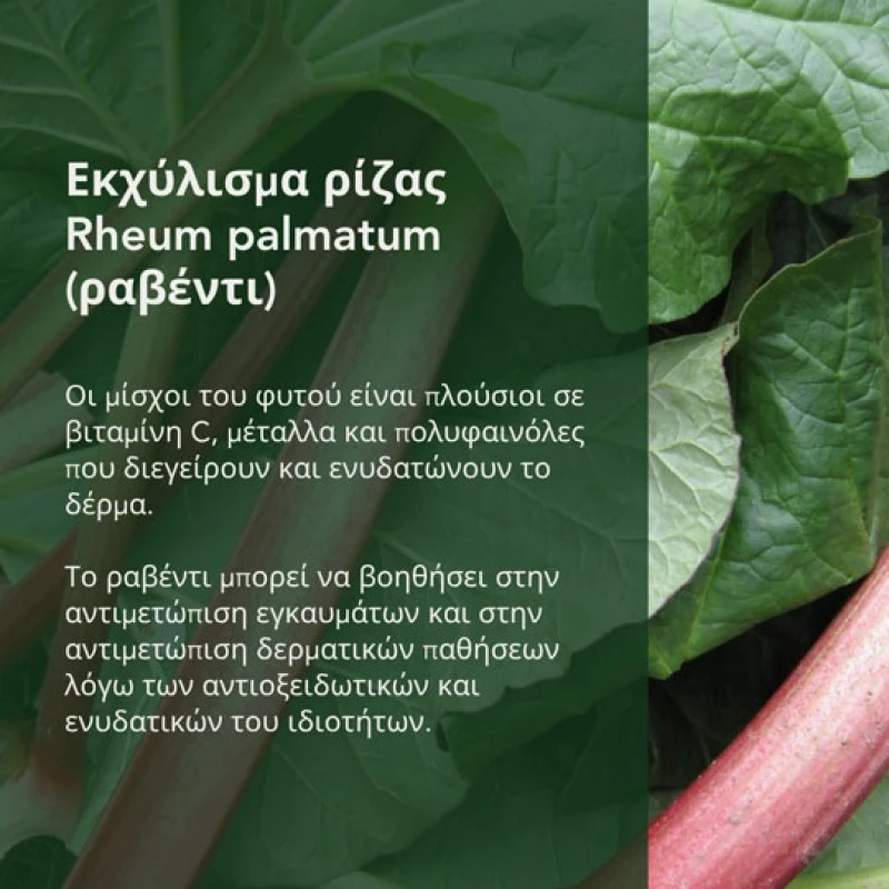 Σαμπουάν Σκύλου Prophyto Classic 250ml Σκύλοι Σαμπουάν Σκύλου Prophyto Classic 250ml Σκύλοι