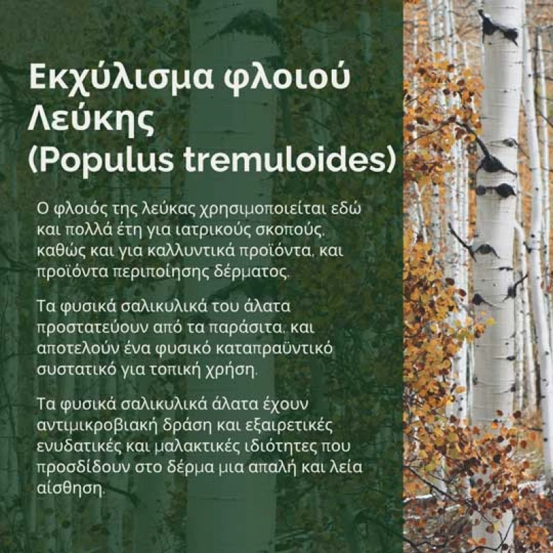 Σαμπουάν Σκύλου Prophyto Classic 250ml Σκύλοι Σαμπουάν Σκύλου Prophyto Classic 250ml Σκύλοι