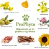 Σαμπουάν Σκύλου Prophyto Classic 250ml Σκύλοι Σαμπουάν Σκύλου Prophyto Classic 250ml Σκύλοι
