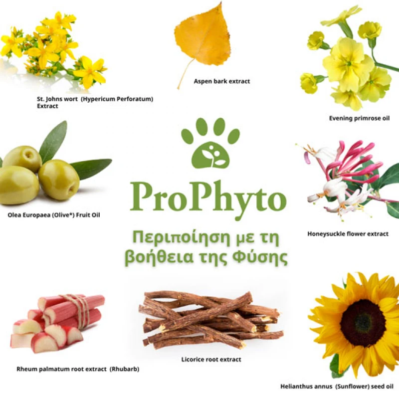 Σαμπουάν Σκύλου Prophyto Classic 250ml Σκύλοι Σαμπουάν Σκύλου Prophyto Classic 250ml Σκύλοι