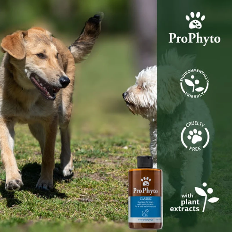 Σαμπουάν Σκύλου Prophyto Classic 250ml Σκύλοι Σαμπουάν Σκύλου Prophyto Classic 250ml Σκύλοι