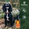 Σαμπουάν Prophyto Deep Cleansing 250ml ΣΚΥΛΟΙ Σαμπουάν Prophyto Deep Cleansing 250ml ΣΚΥΛΟΙ