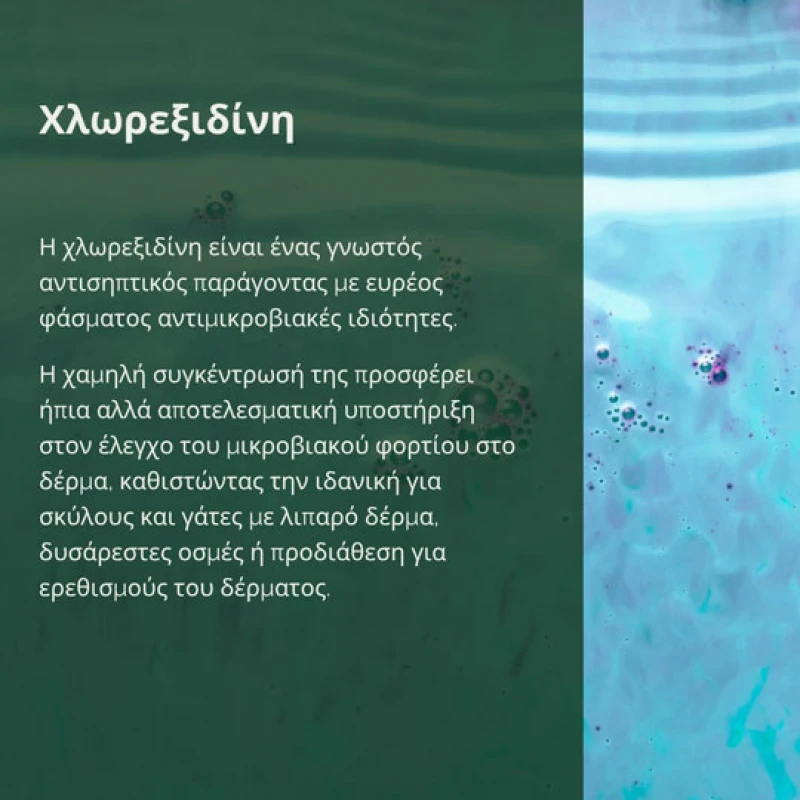 Σαμπουάν Prophyto Deep Cleansing 250ml ΣΚΥΛΟΙ Σαμπουάν Prophyto Deep Cleansing 250ml ΣΚΥΛΟΙ