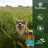 Σαμπουάν Σκύλου Prophyto Sensitive Skin 250ml Σκύλοι