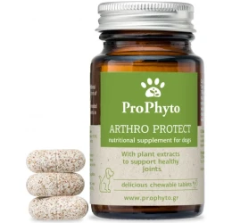 Συμπλήρωμα για τις Αρθρώσεις σε Σκύλους Prophyto Arthro Protect 100tabs