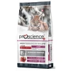 Ξηρά Τροφή Γάτας Proscience Kitten Αρνί 15kg