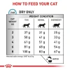 ROYAL CANIN HYPOALLERGENIC CAT 2.5Kg ΓΑΤΕΣ