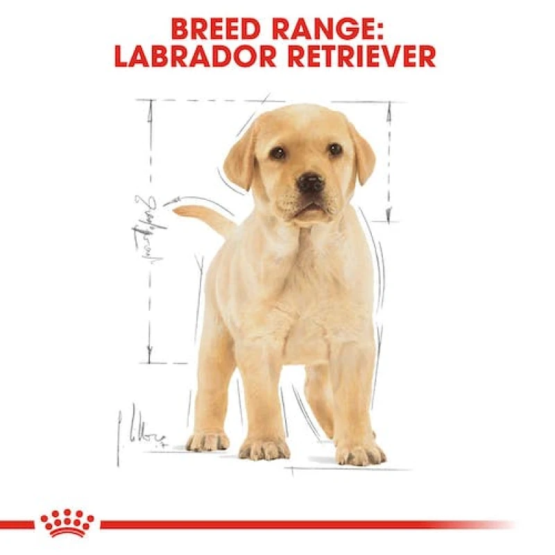 Royal Canin Labrador Puppy 12kg ΣΚΥΛΟΙ