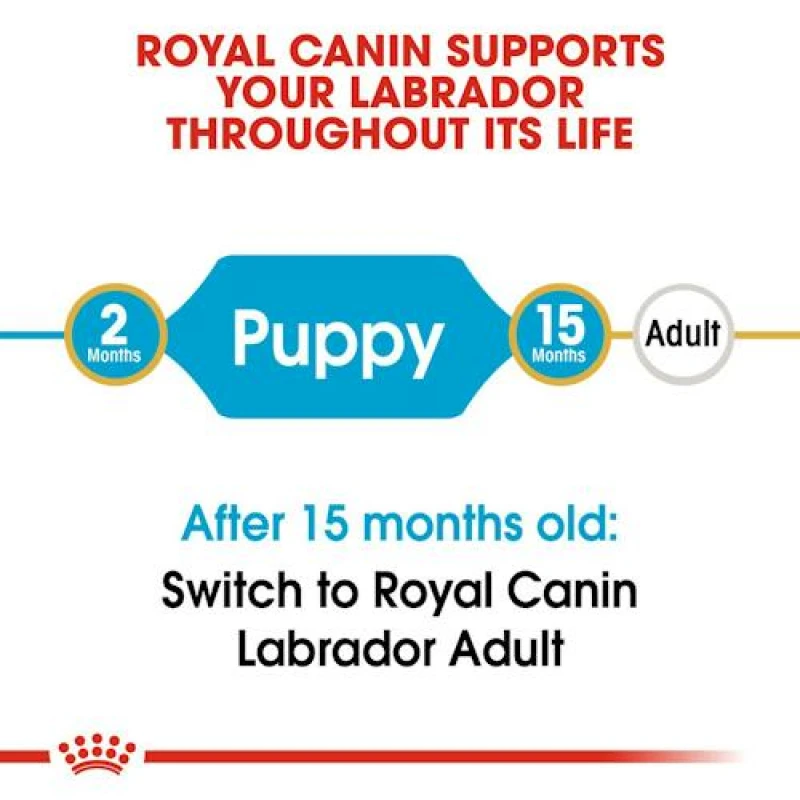 Royal Canin Labrador Puppy 12kg ΣΚΥΛΟΙ