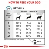 ROYAL CANIN SKIN CARE ADULT DOG 2KG ΞΗΡΑ ΤΡΟΦΗ ΣΚΥΛΟΥ