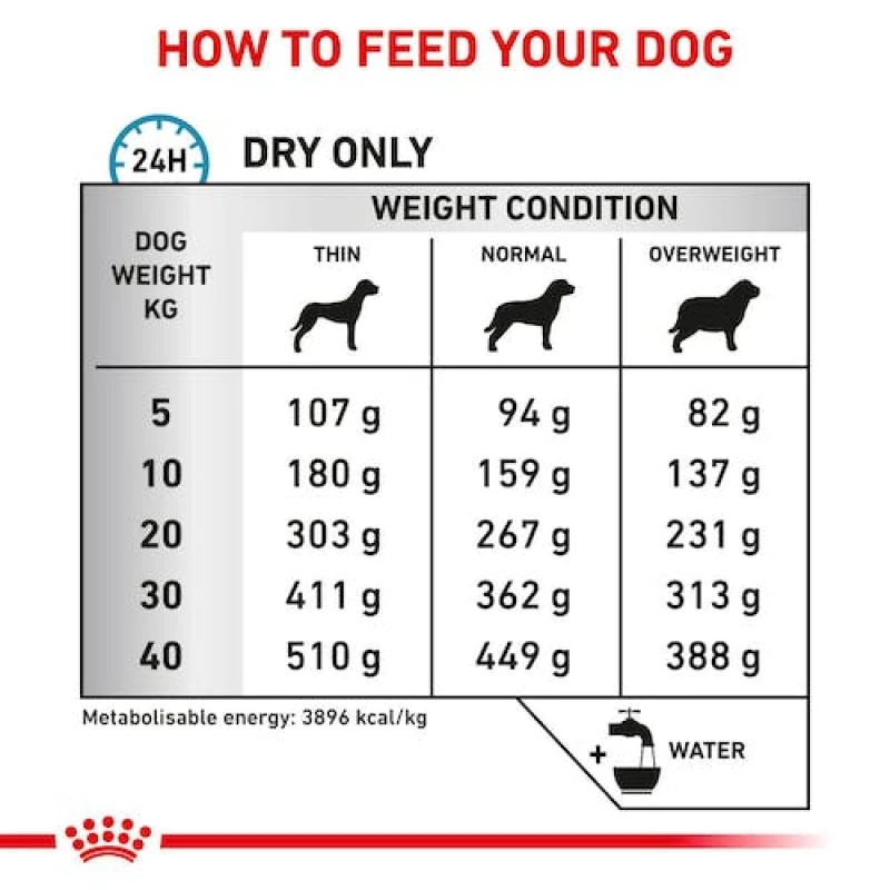 ROYAL CANIN SKIN CARE ADULT DOG 2KG ΞΗΡΑ ΤΡΟΦΗ ΣΚΥΛΟΥ