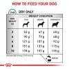 ROYAL CANIN SKIN CARE ADULT SMALL DOG 2KG ΣΚΥΛΟΙ