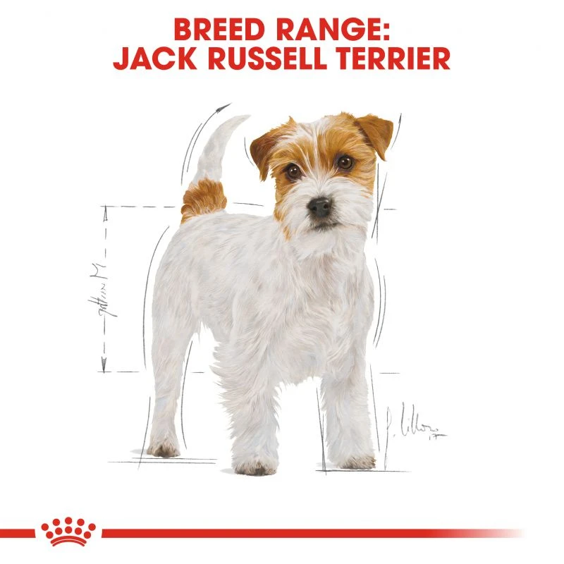 Royal Canin Jack Russell Terrier Adult 1,5kg ΣΚΥΛΟΙ